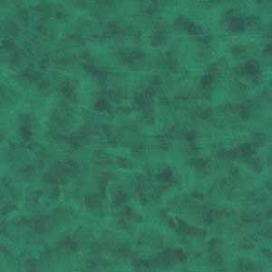 Color Dance - Fat Quarter