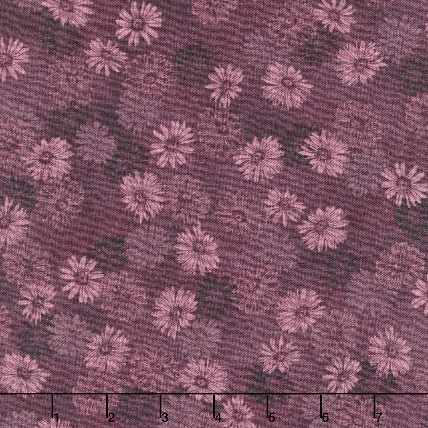 Flossie's Flowers - Pressed Daisies Aubergine