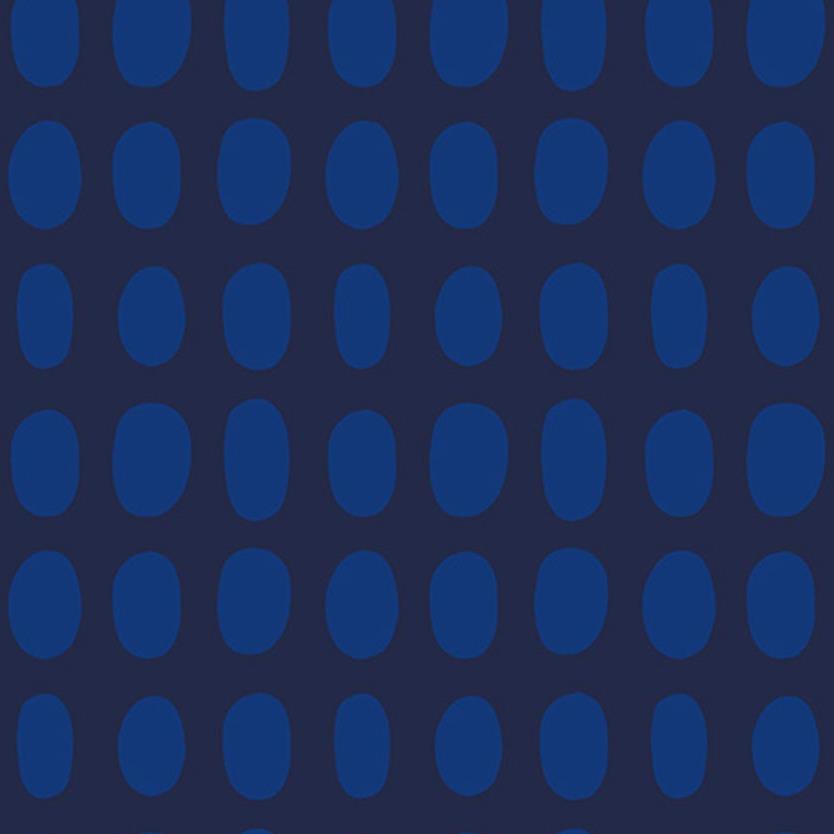 Night Rainbow - Spot Blueberry