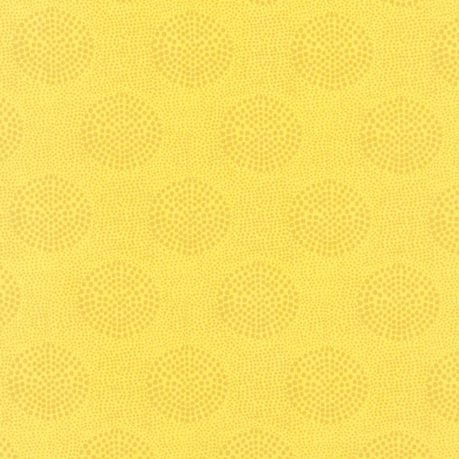Mosaic - Yellow 108" Wide Backing