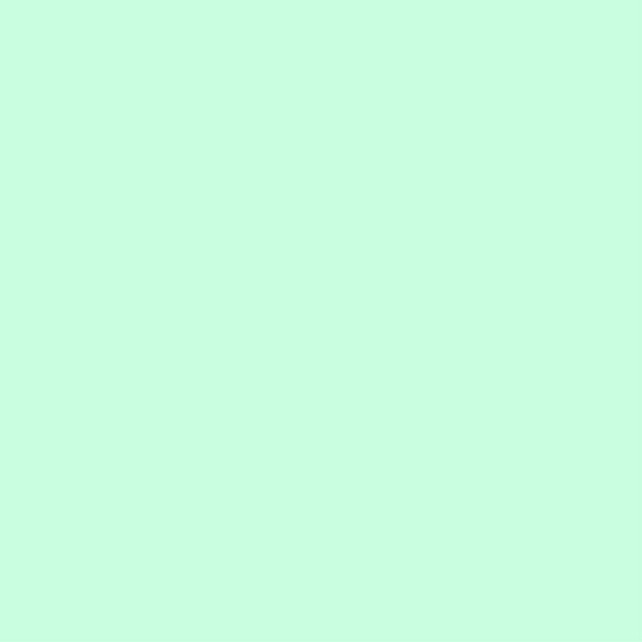 Colorworks Premium Solids - Frosted Mint
