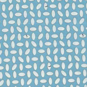 Dino Age - Fat Quarter