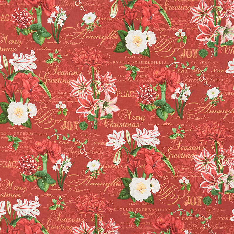 Merry Christmas - Christmas Amarylis Floral Red Multi