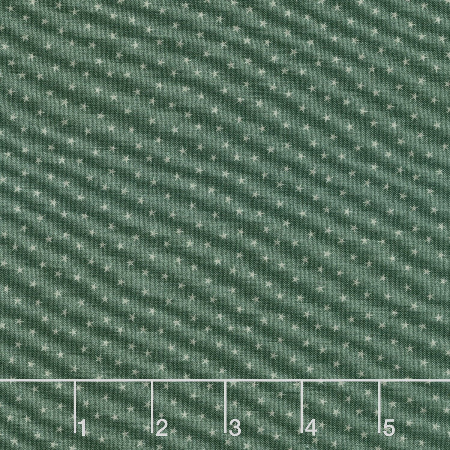 Twinkle - Forest