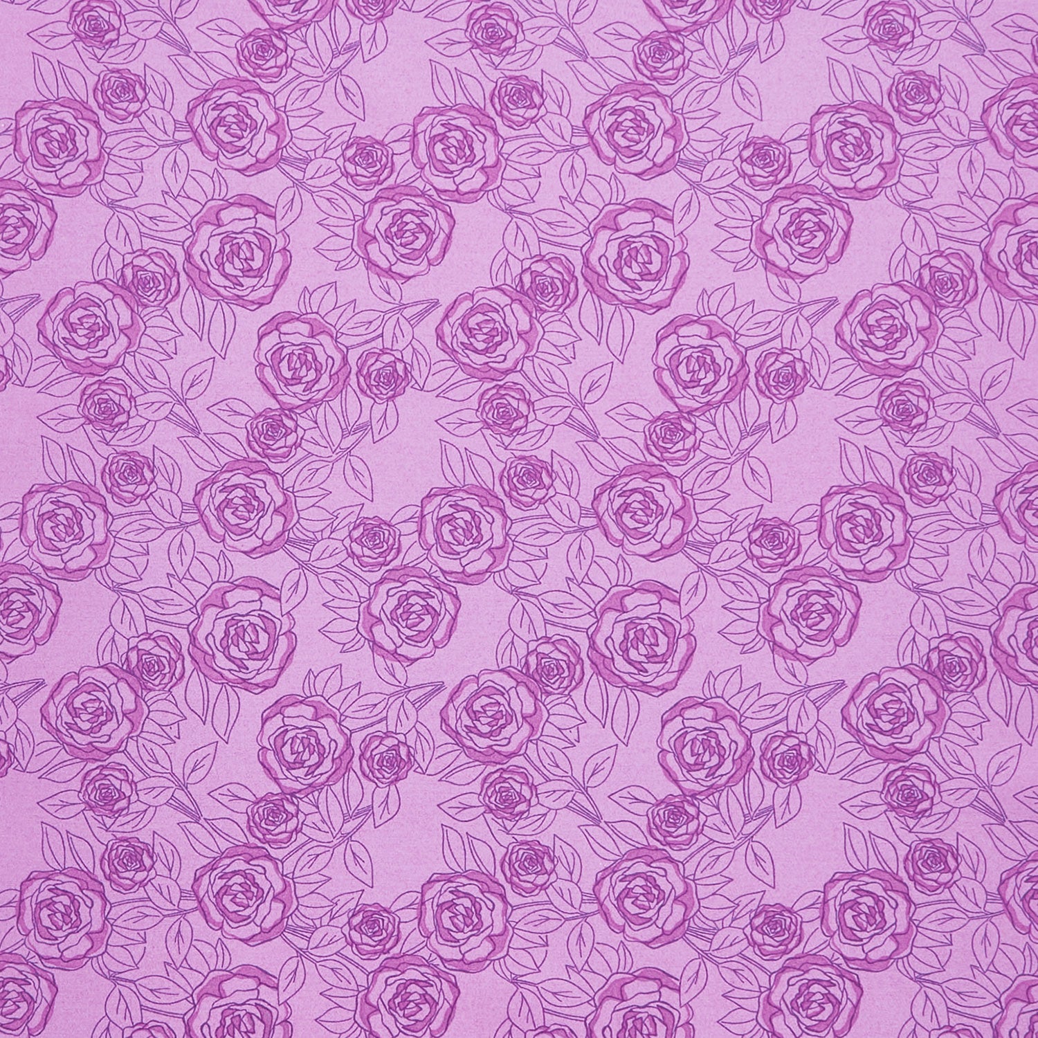 Color Me Pretty - Rose Bloom Orchid
