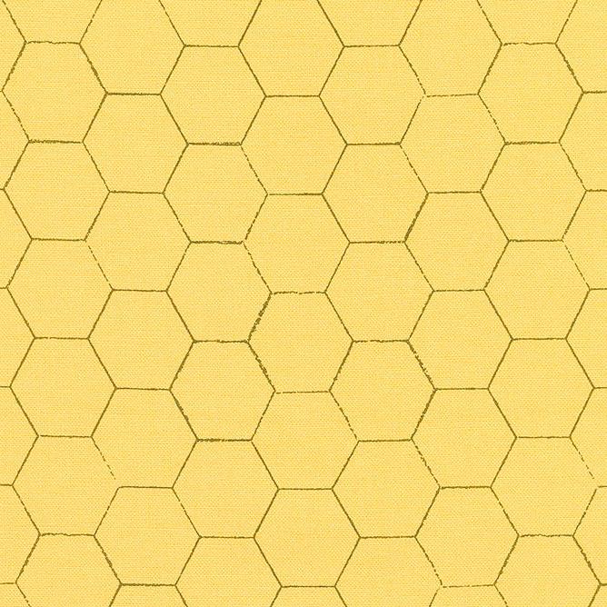 Honey Bee - Honeycomb Daisy