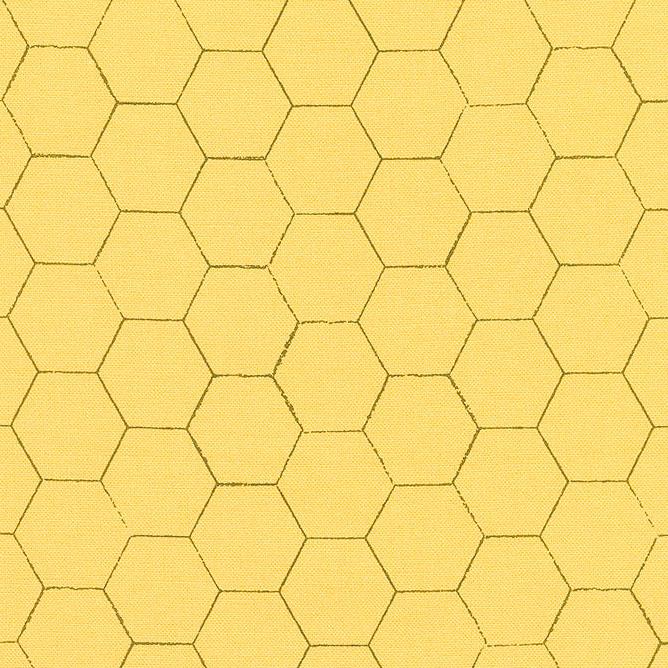 Honey Bee - Honeycomb Daisy