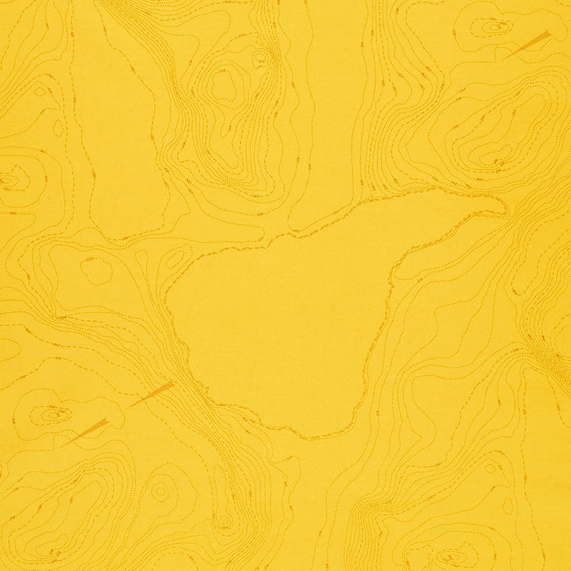 Sun Print 2023 - Topography Lemon