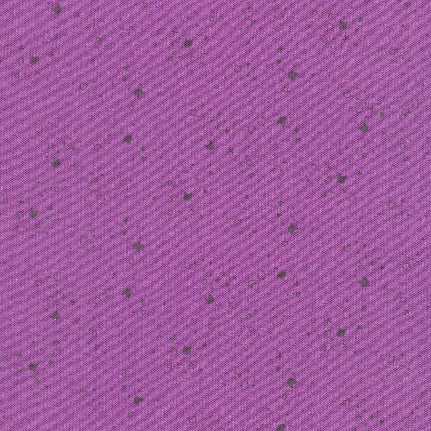 Kitty Litter - Purple