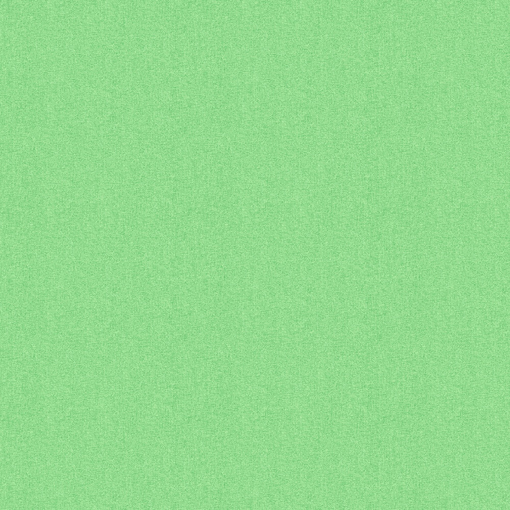 Faux Linen Tonals Pistachio Quilting Cotton Fabric Yardage - Pistachio