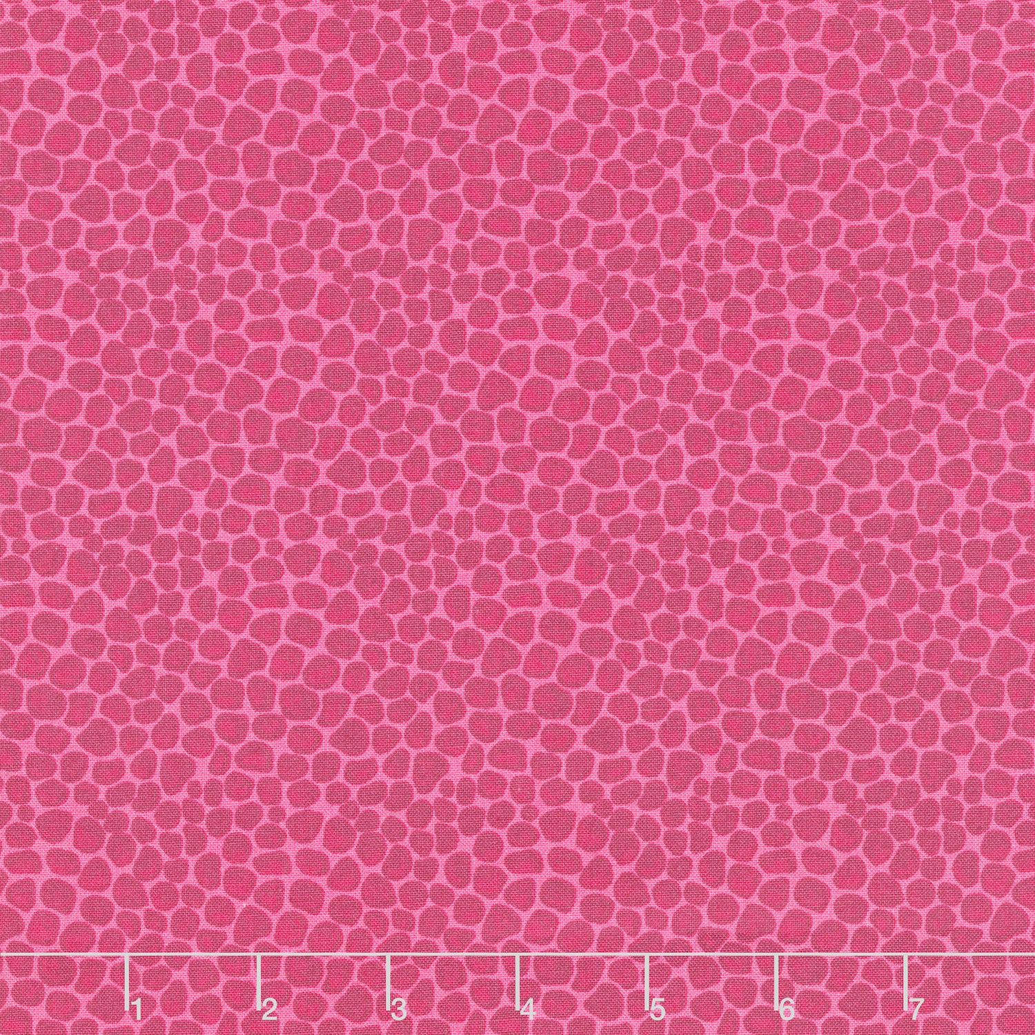 Fragrant Fields - Stony Path Hot Pink