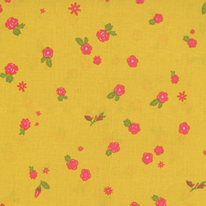 Sun Print 2019
