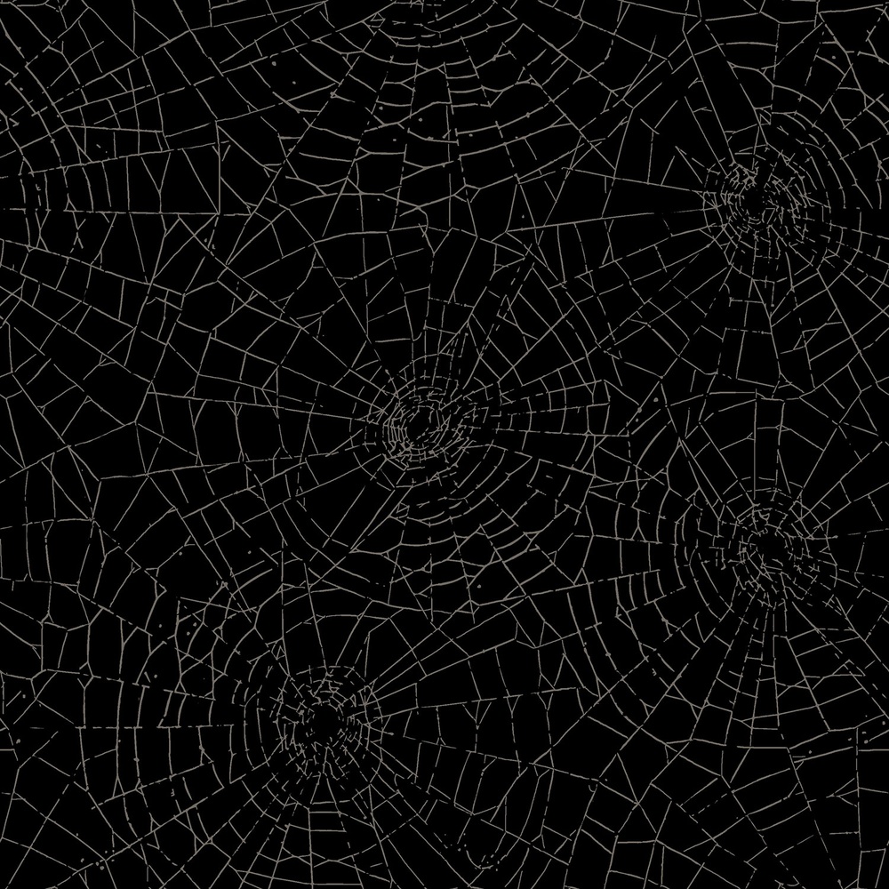 Web of Roses - Spider Webs Metallic - Black