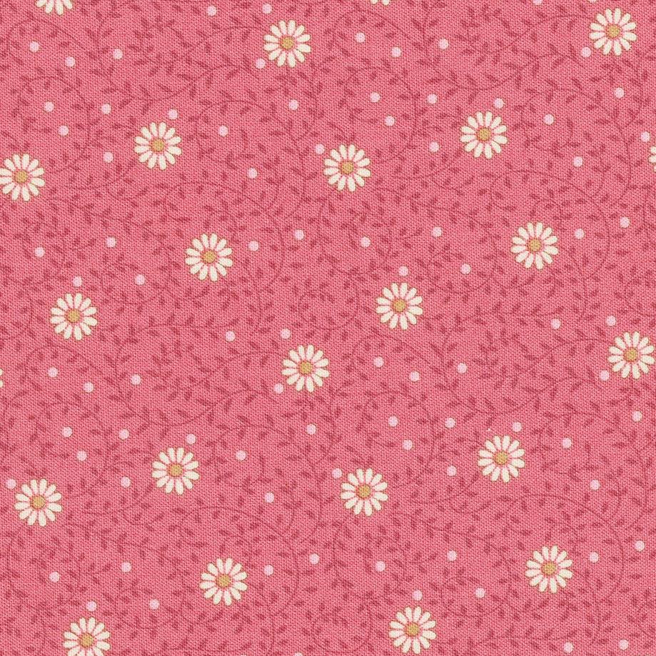 Sanctuary - Daisydream Rhuba