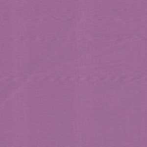 Bella Solids