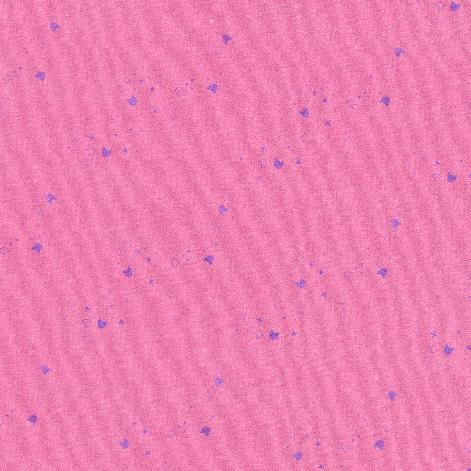 Kitty Litter - Pinkie Pie