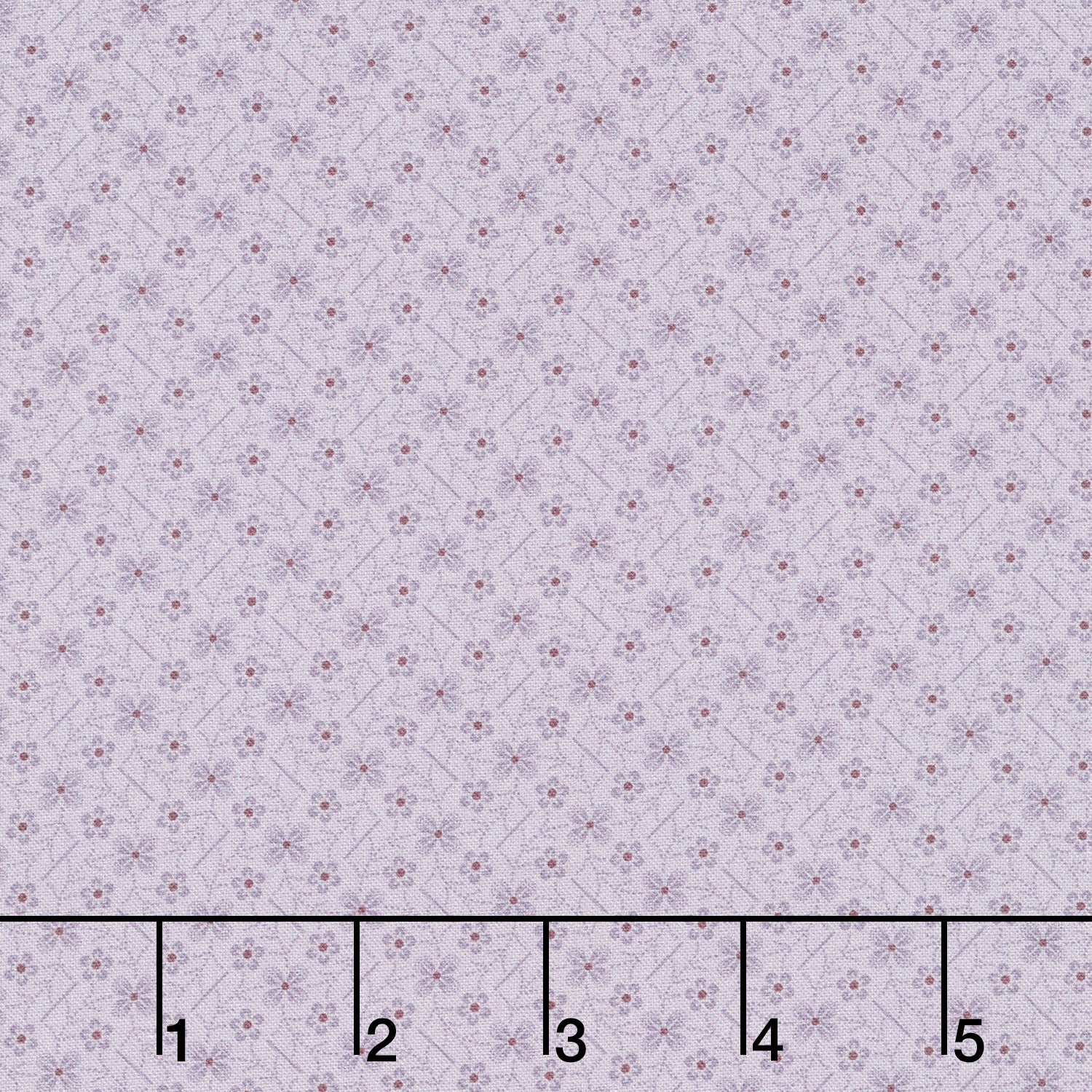 Plumberry III - Plumberry Hill Lavender