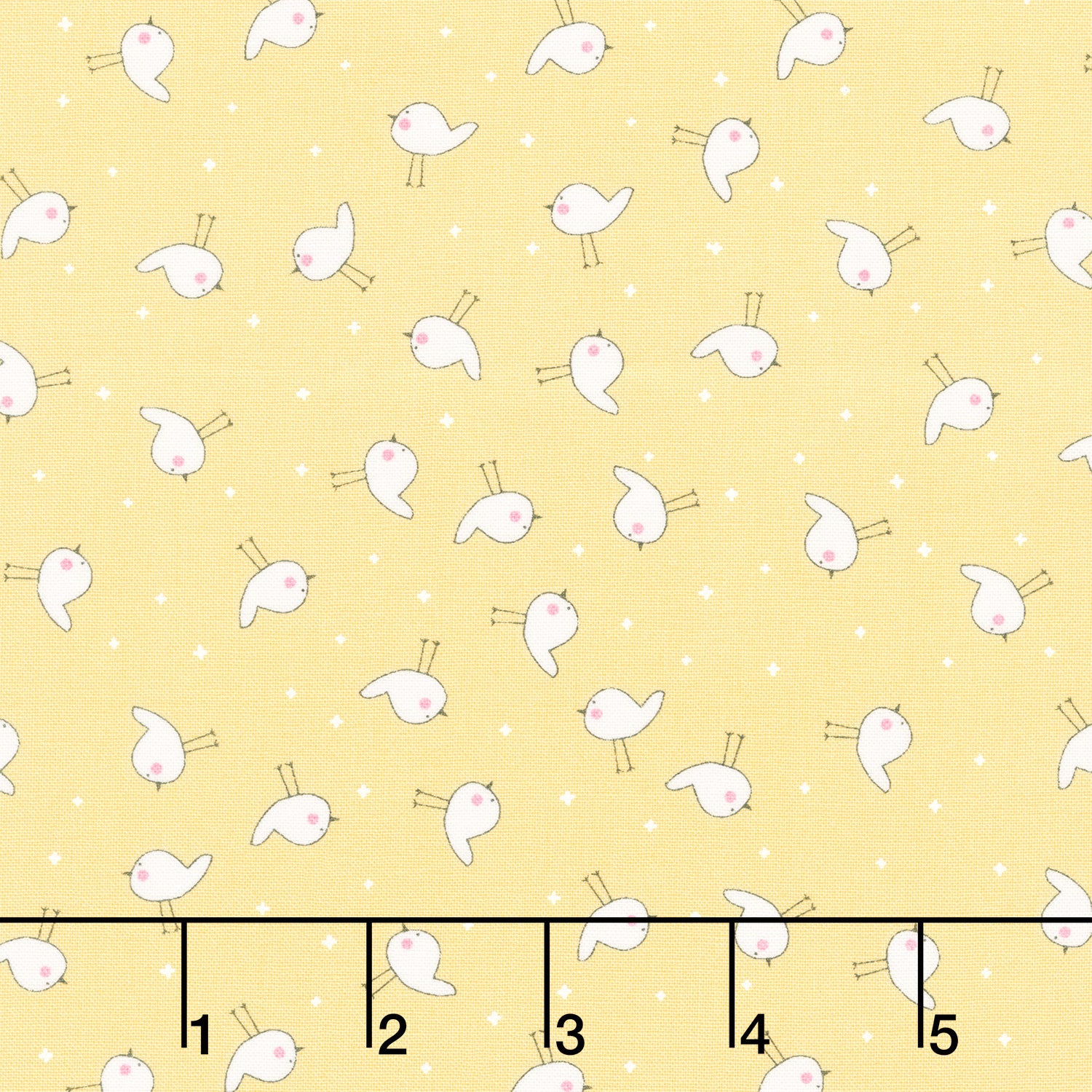 Shine - Little Birdie Sun