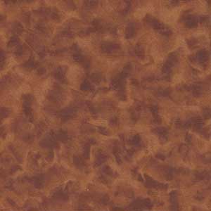 Color Dance - Fat Quarter