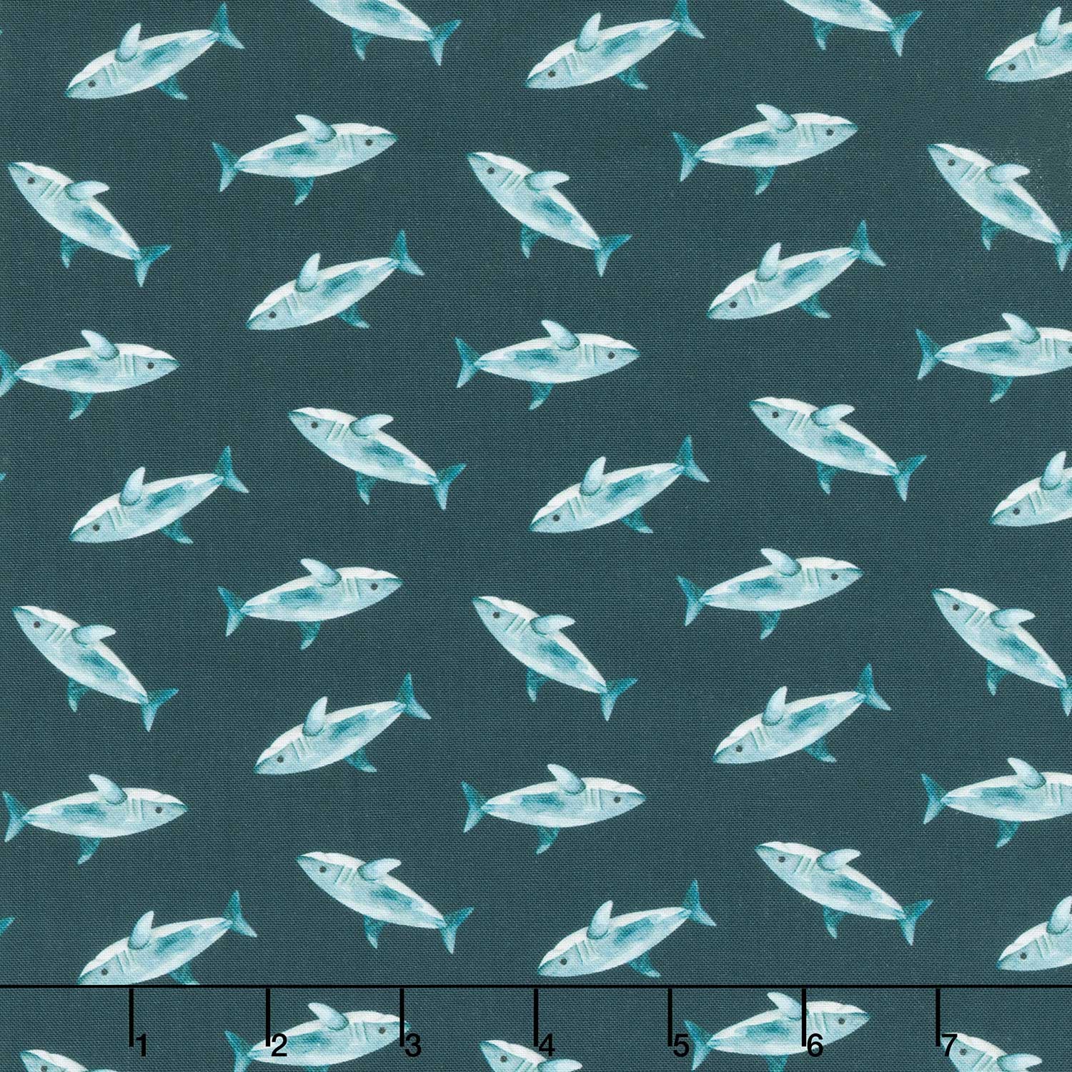 Pirates Ahoy - Sharks Teal