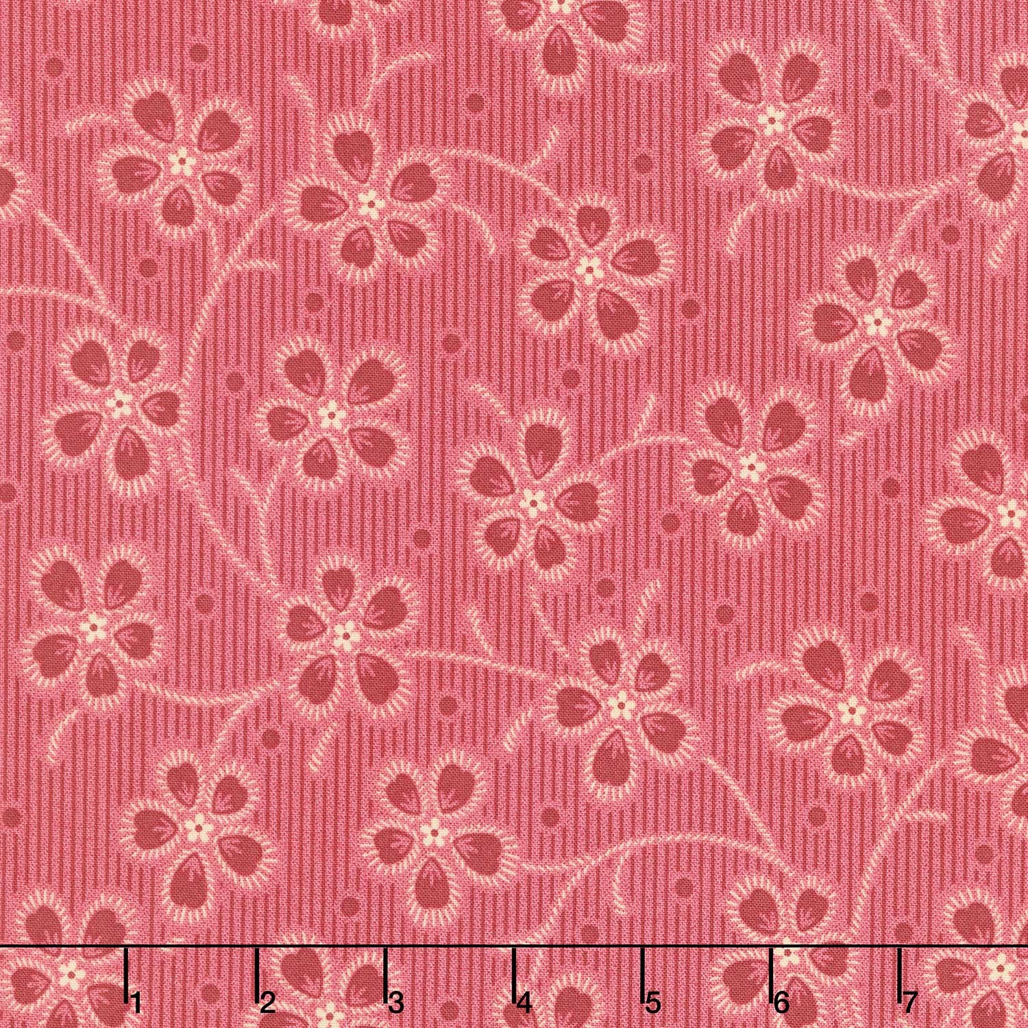 Dahlia - Dianthus Cardinal