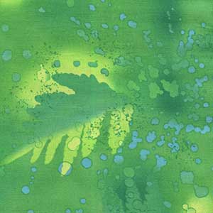 Fossil Fern