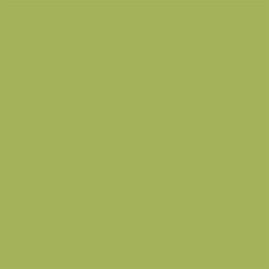 Colorworks Premium Solids - Kiwi