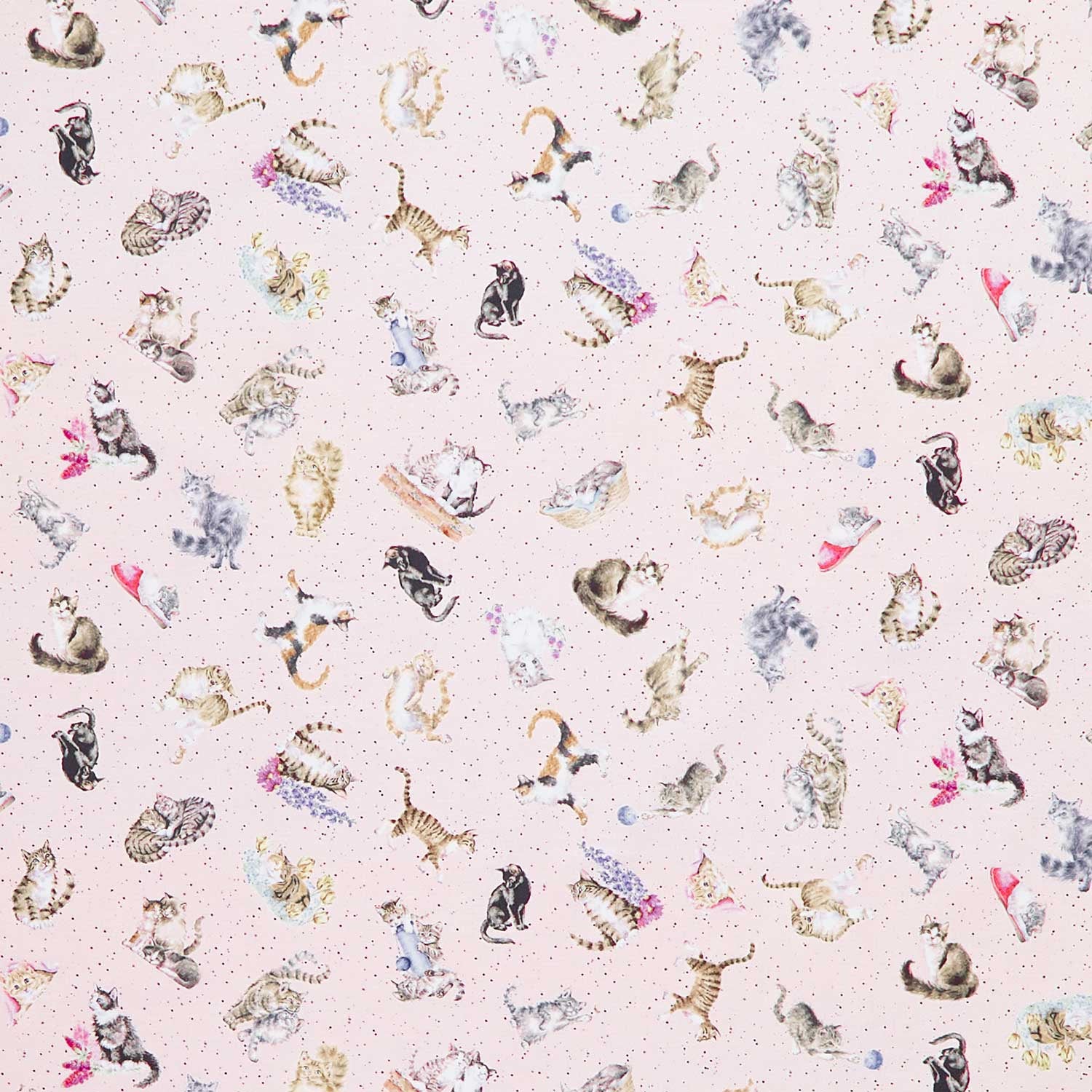 Whiskers & Paws - Cats Tossed Pale Pink