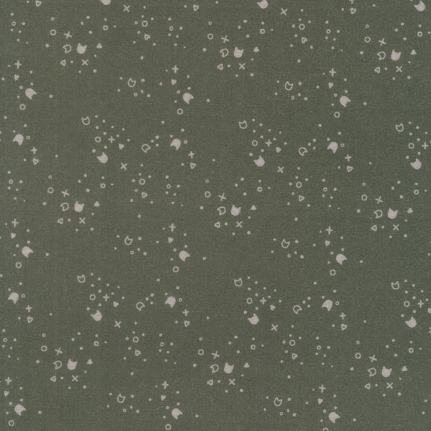 Kitty Litter - Graphite
