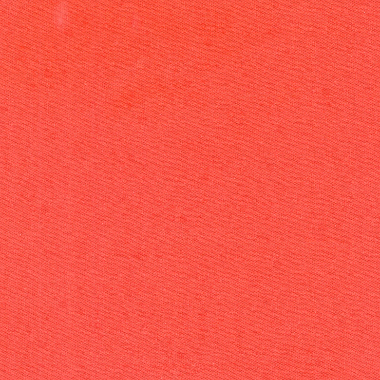 Kitty Litter - Alizarin