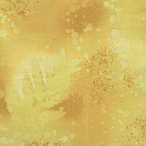 Fossil Fern