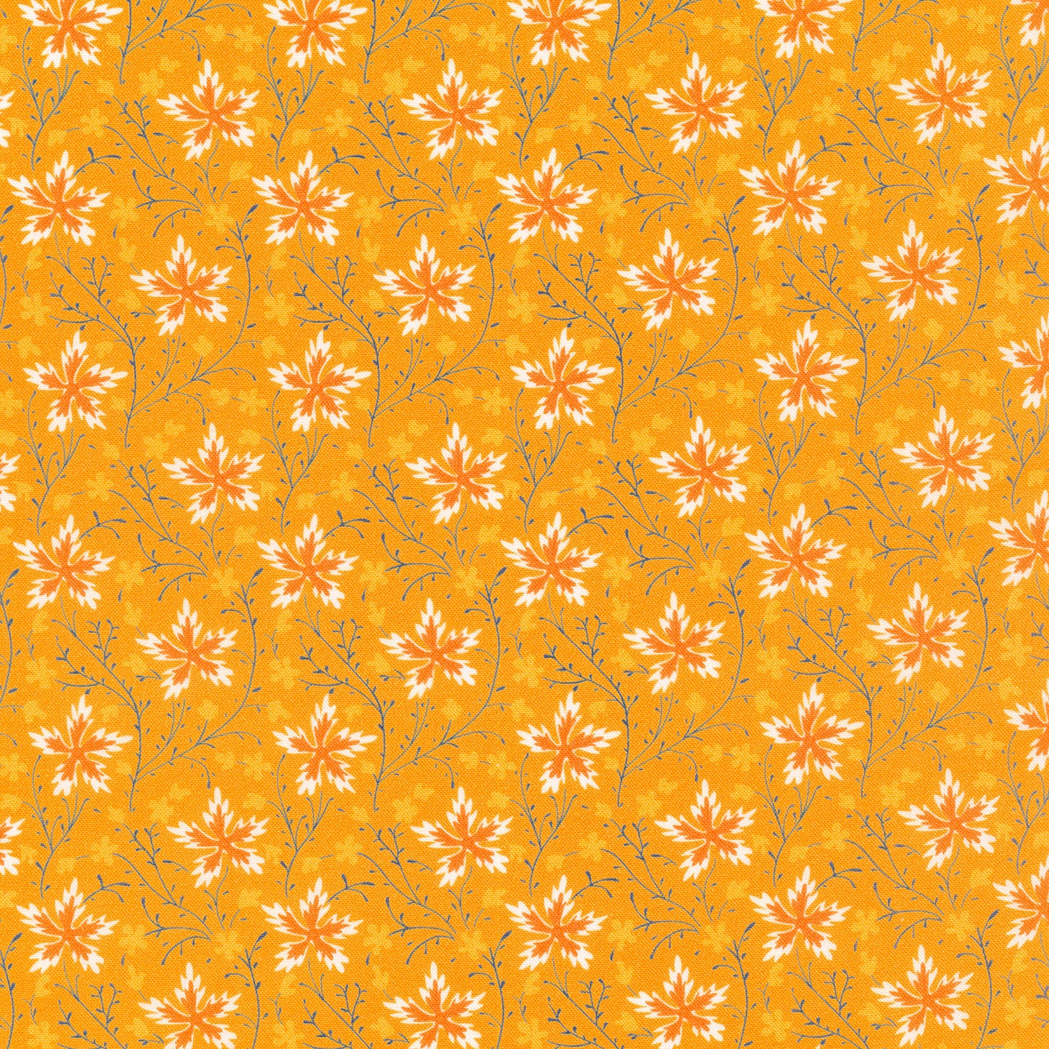 Circa - Sharp Cheddar Bloom Burst Cheddar
