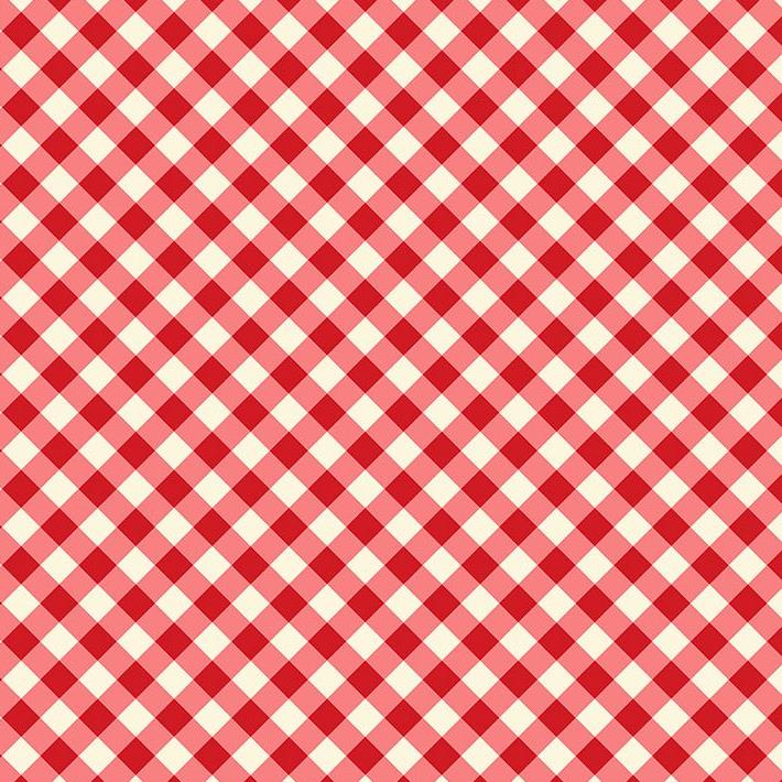 Cherry Pie - Vintage Diagonal Gingham in Cherry Red