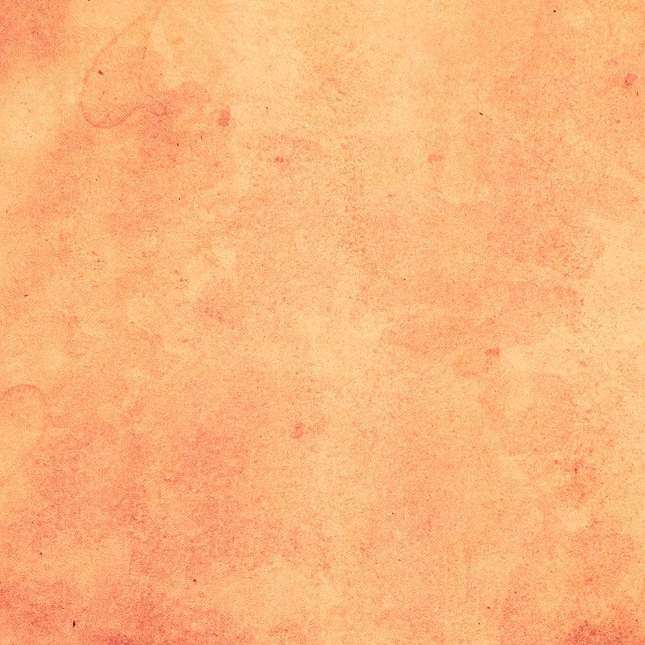 Eclectic Elements - Palette Orange Vintage Orange