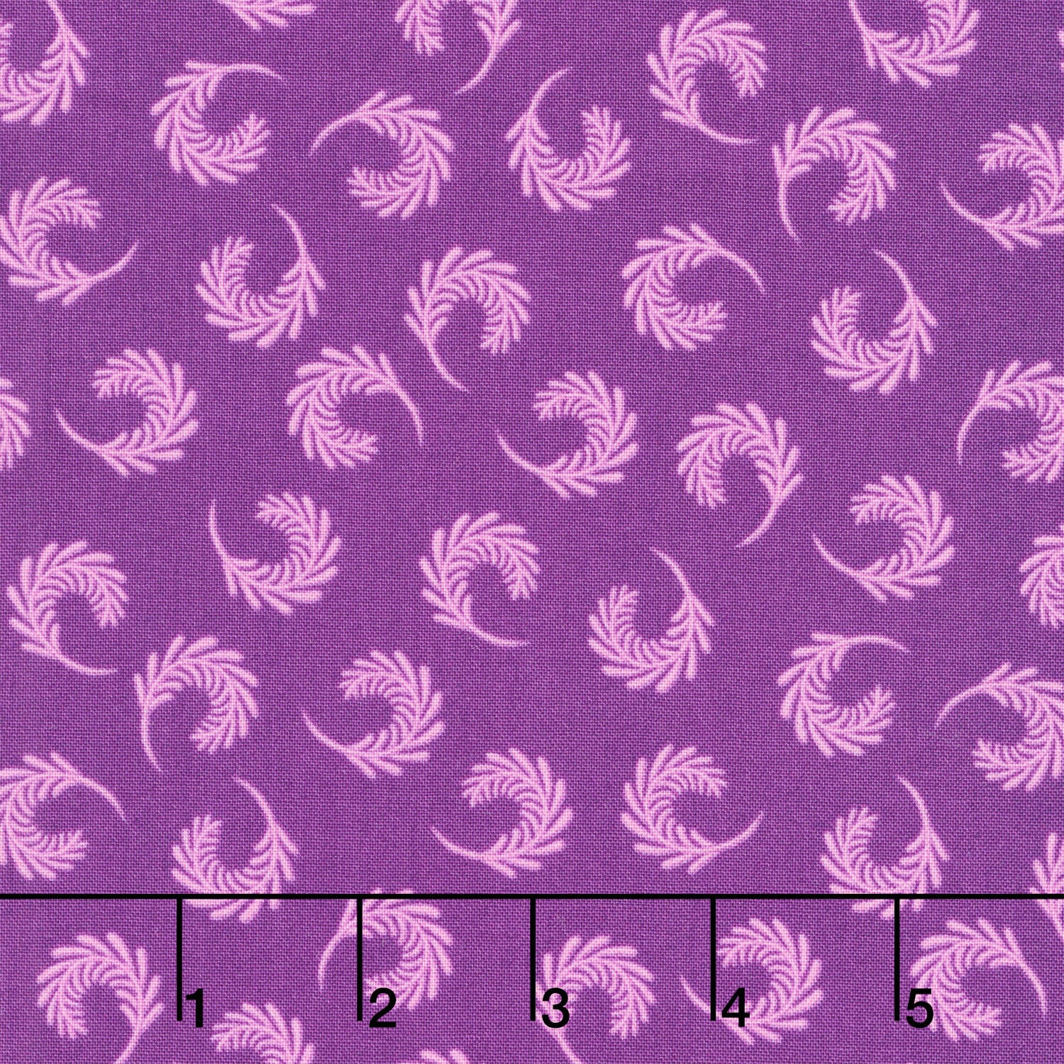 Molly's Magic - Swirling Sprays Iris