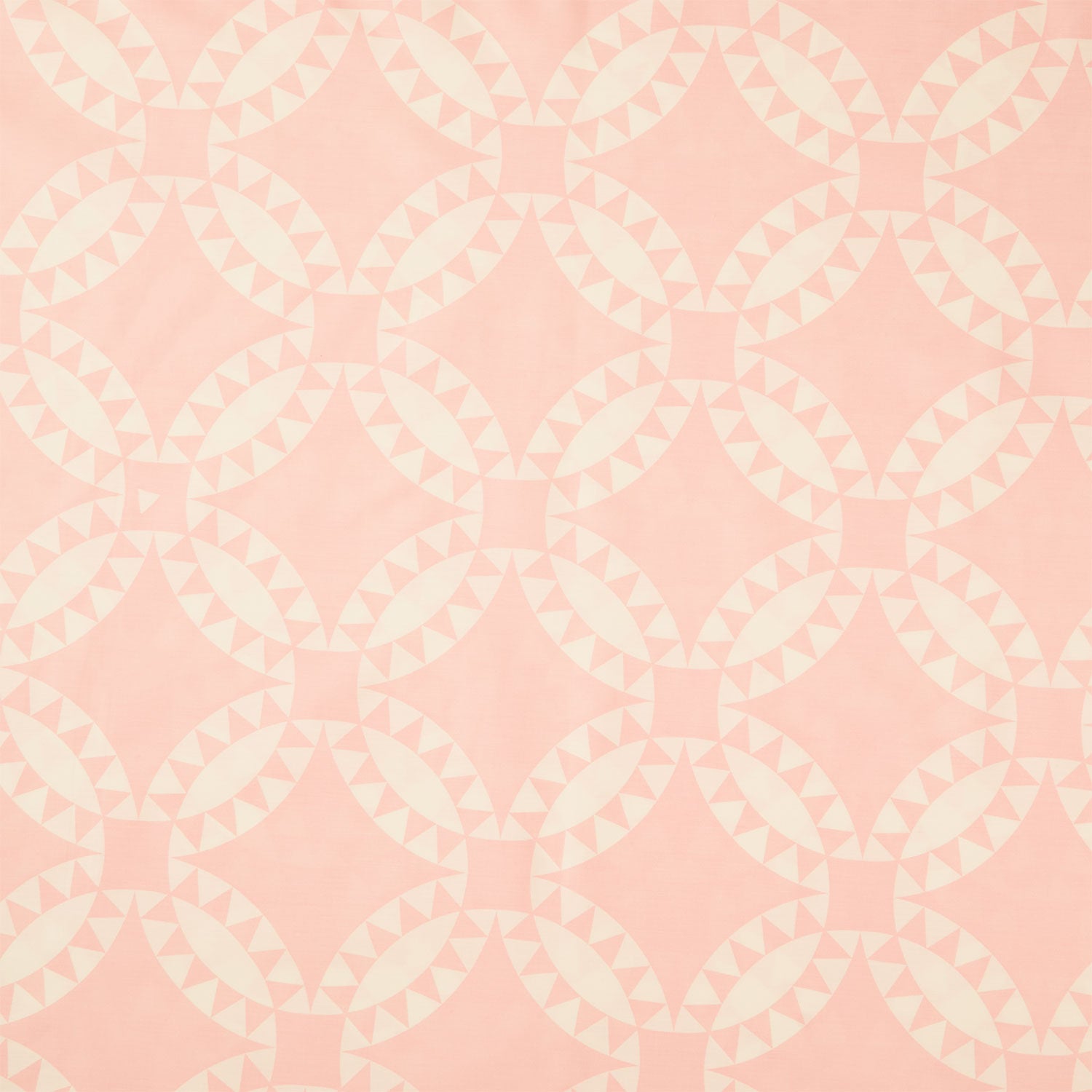 Perfect Points - Pickle Dish Cheater Print Blush 108" Wide Backing