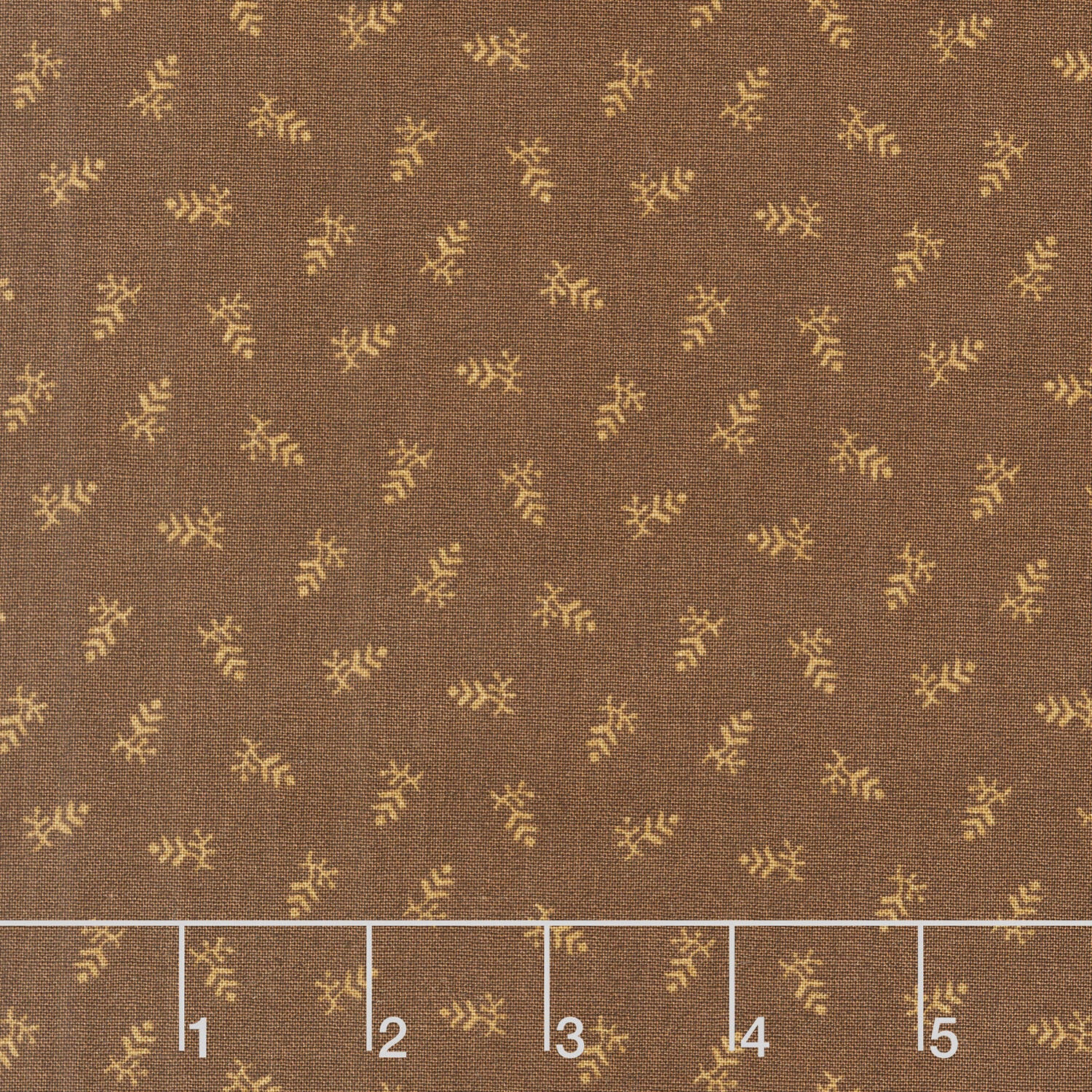 Autumn Woods - Conifer Hickory