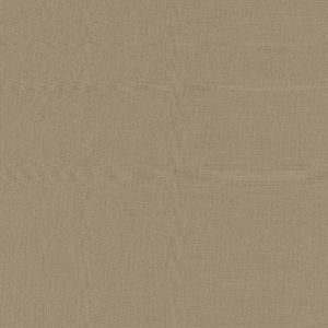 Bella Solids