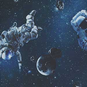Universe - Fat Quarter