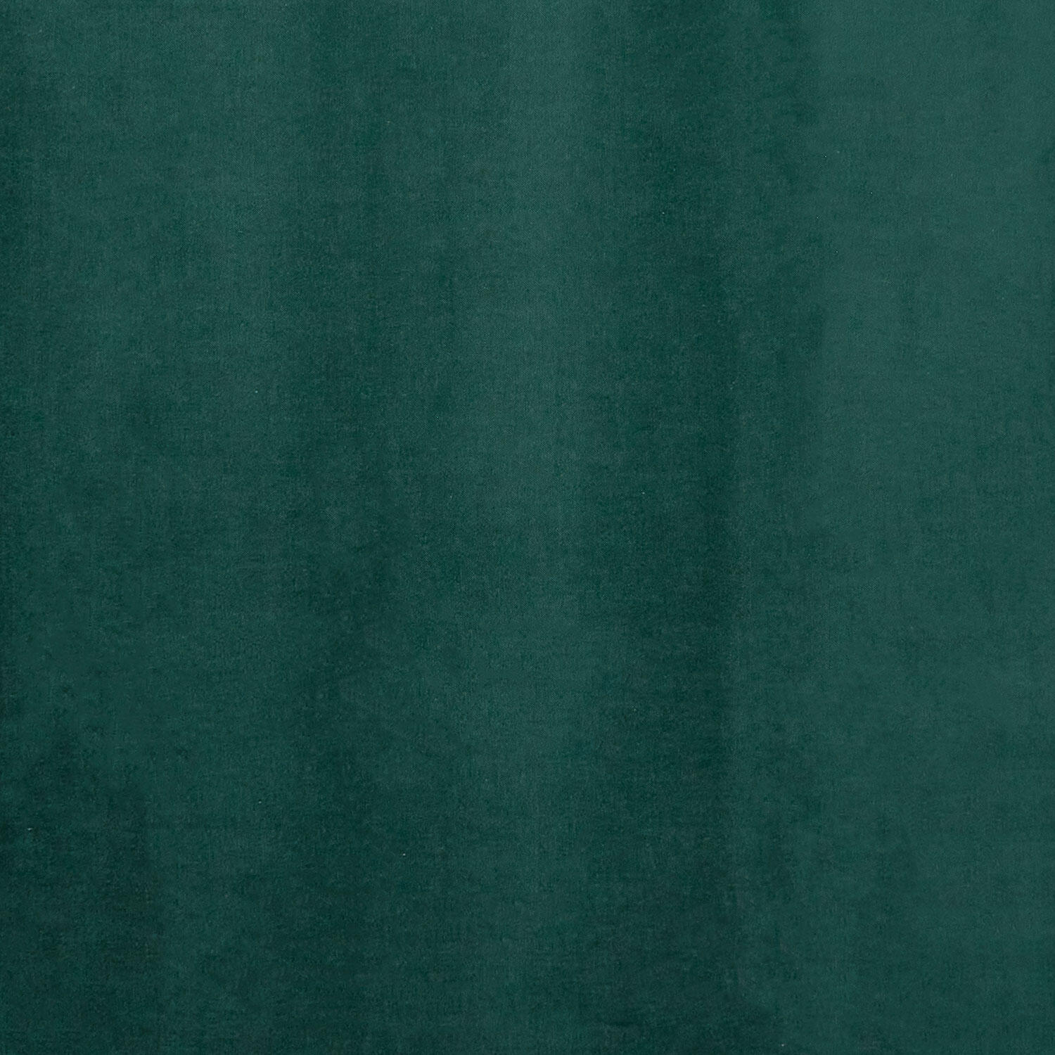 Lush Velveteen Wide - Solid Forest