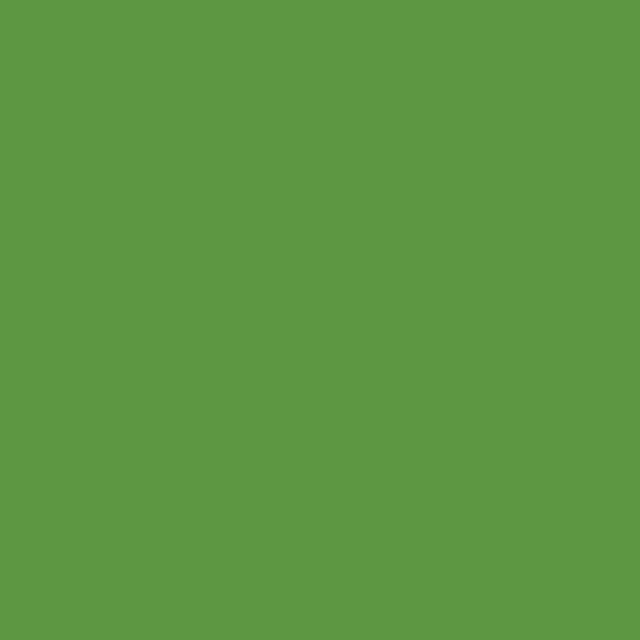 Colorworks Premium Solids - Gecko