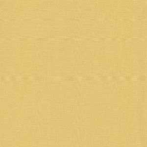 Bella Solids - 44" x 6" Short Cut