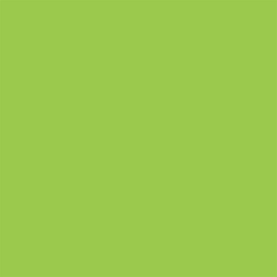 Colorworks Premium Solids - Citron