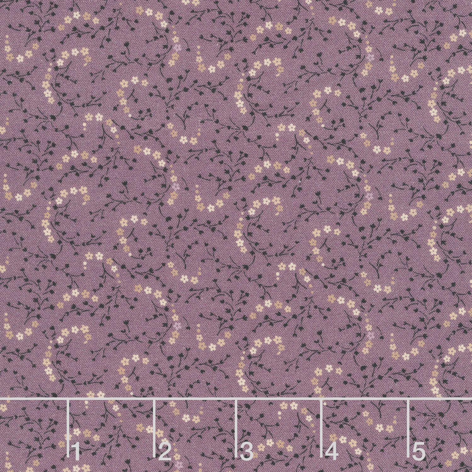 Plumberry III - Plum Posey Purple