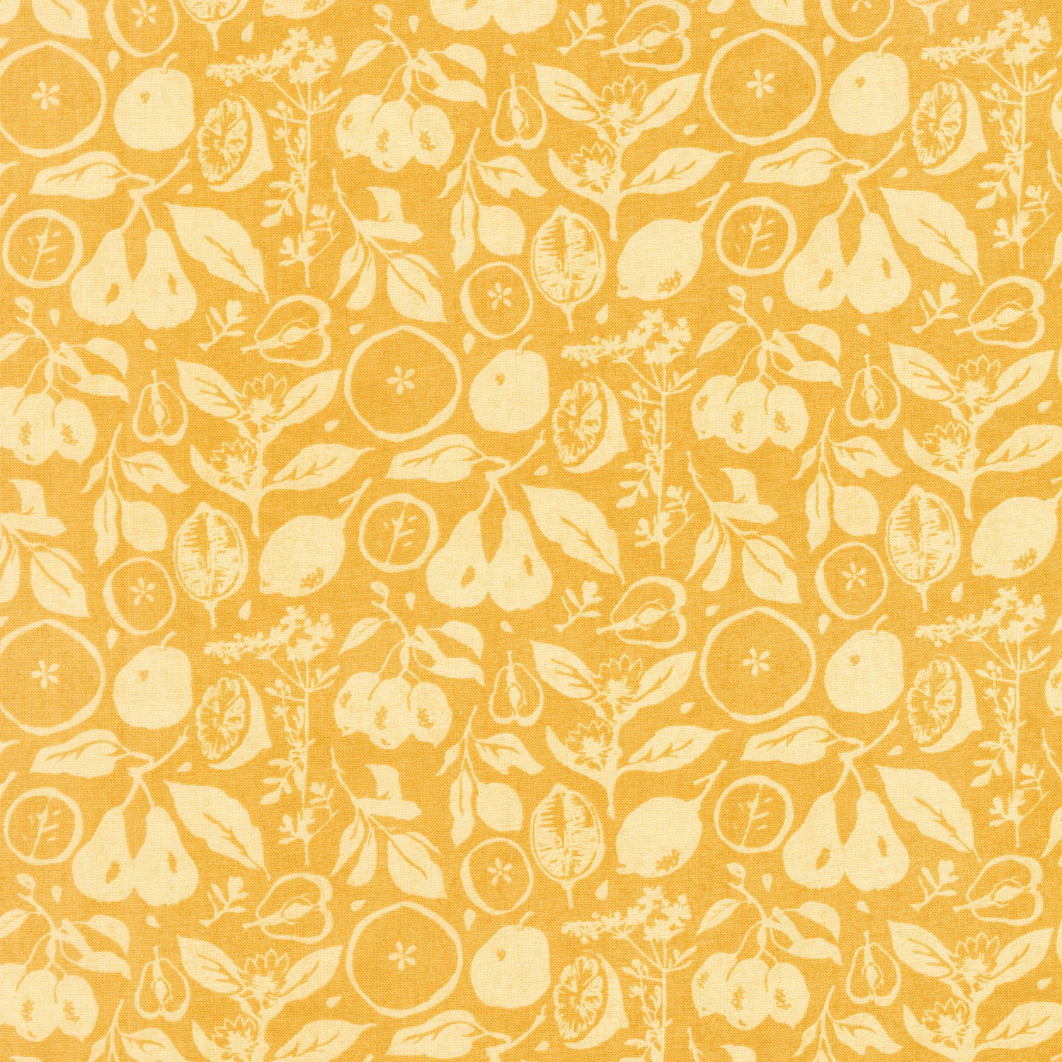 Fruit Loop - Sun Dried Sunshine