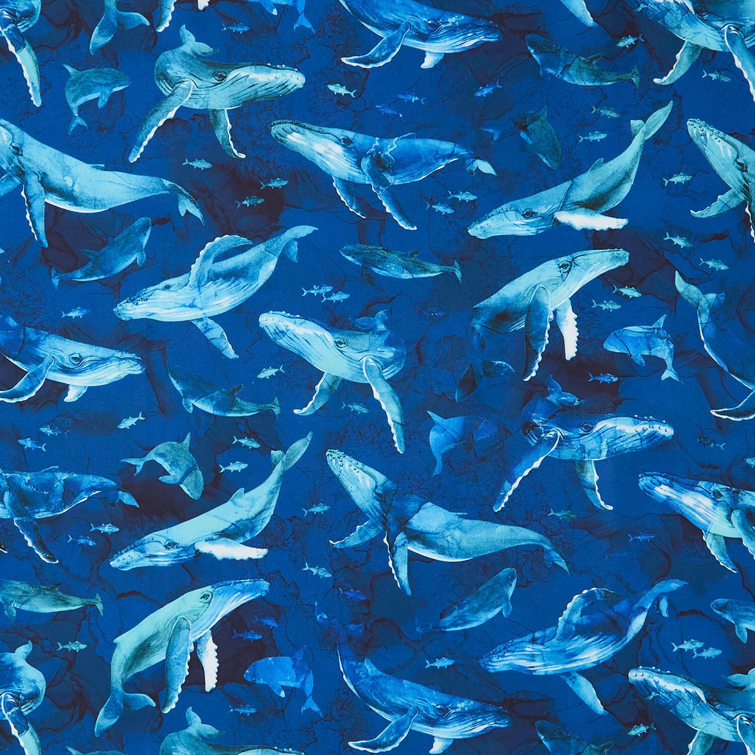 Deep Blue - Whales Dark Blue Multi