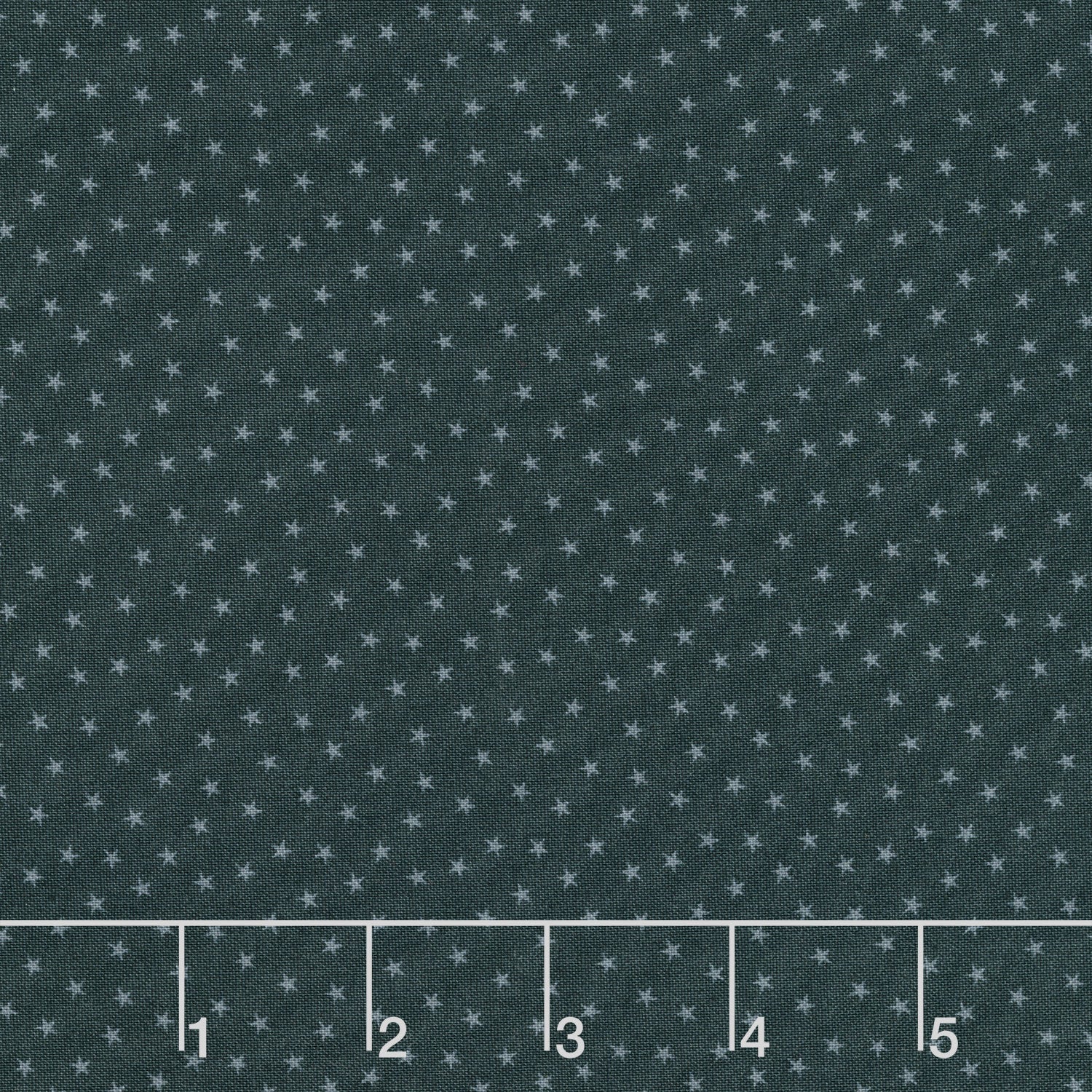 Twinkle - Succulent
