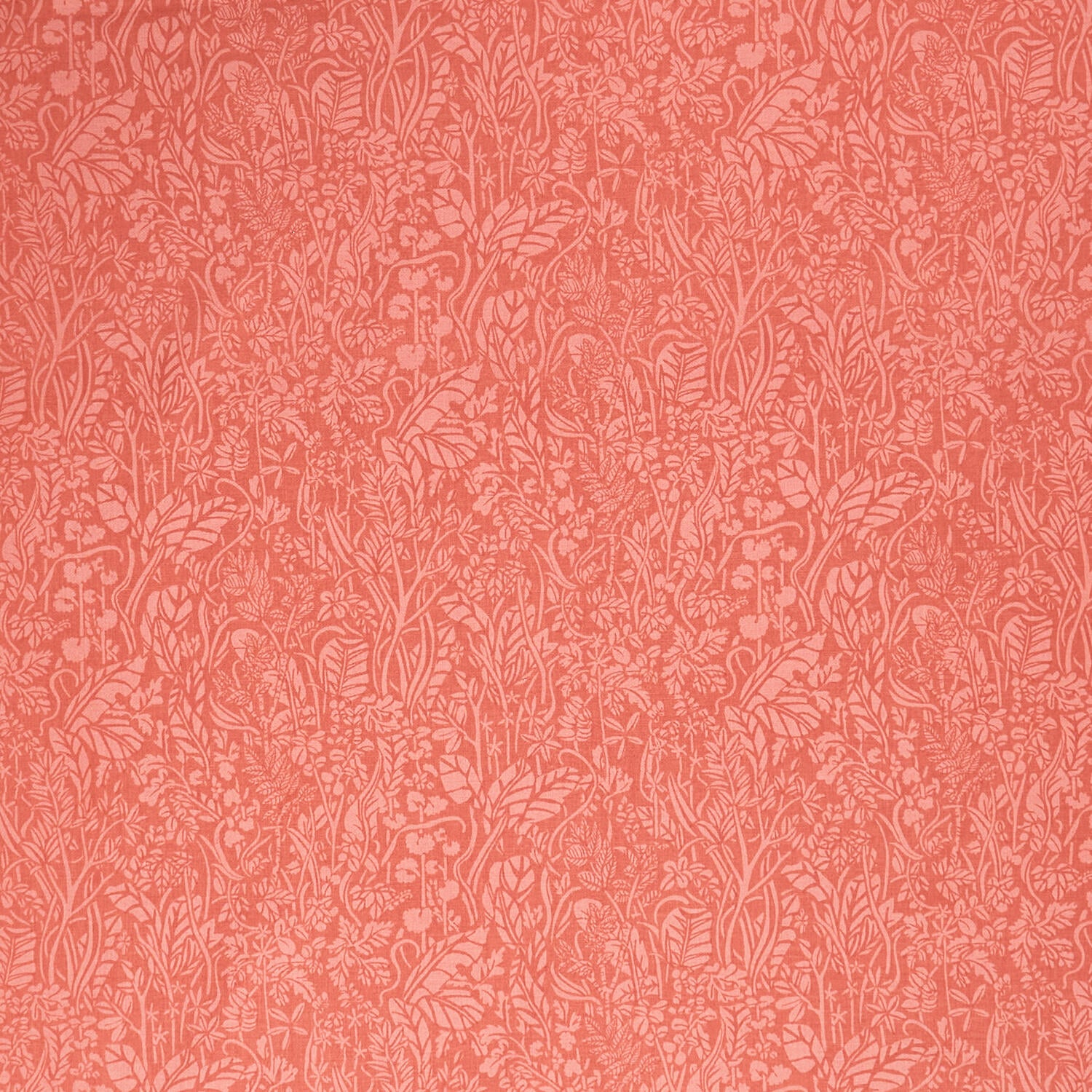 Cottage Flowers - St Chloe Pink