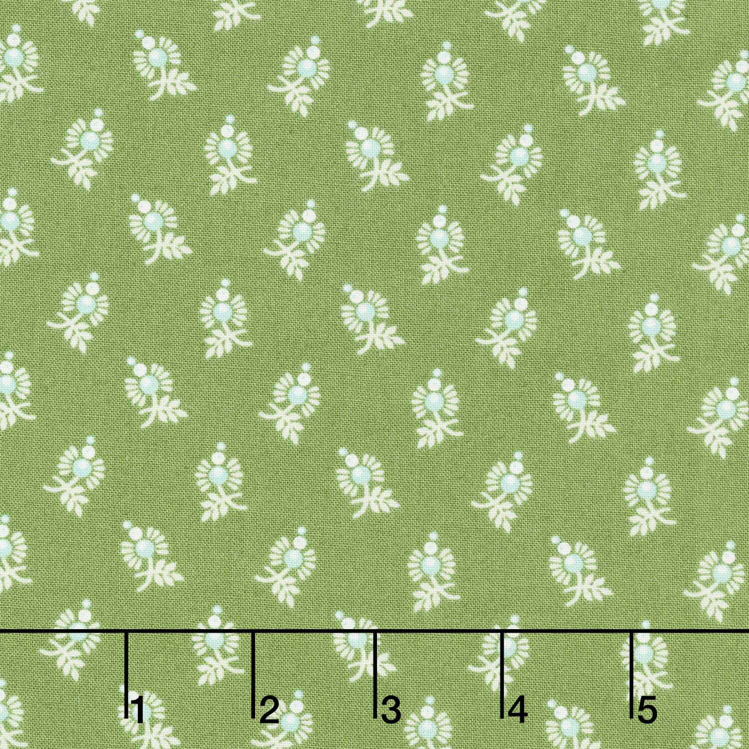Sugarberry - Sugar Berries Green