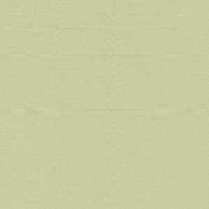 Bella Solids